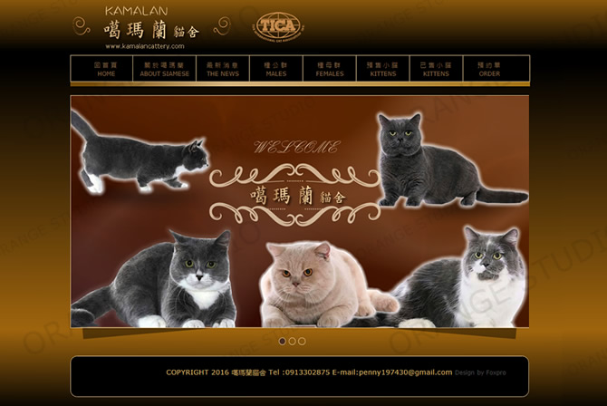 噶瑪蘭貓舍-橘子軟件網頁設計案例圖片